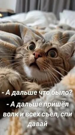 FB IMG 1748807254184