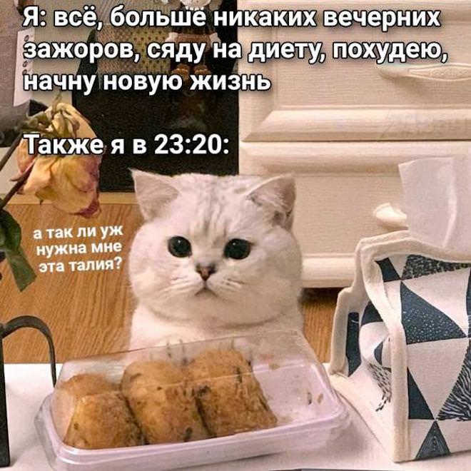 f55b9 memy-novye-svezhie-smeshnye-11
