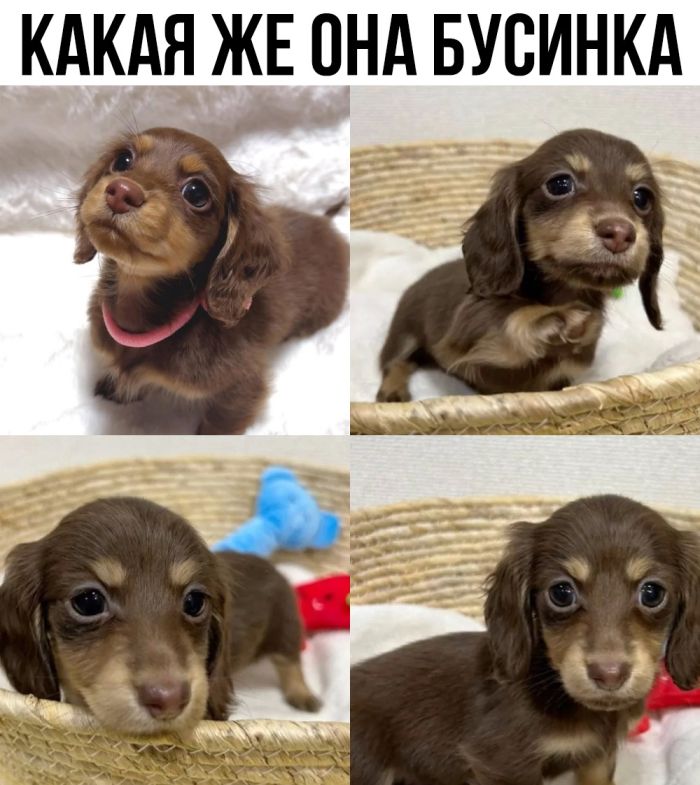 do-slez-smeshnye-memy-i-kartinki-s-kommentarijami-8