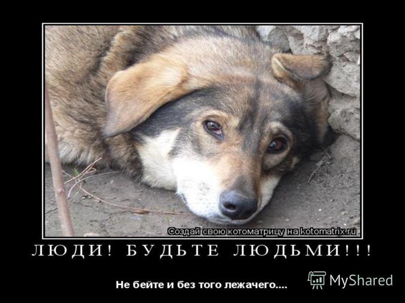 ))))))