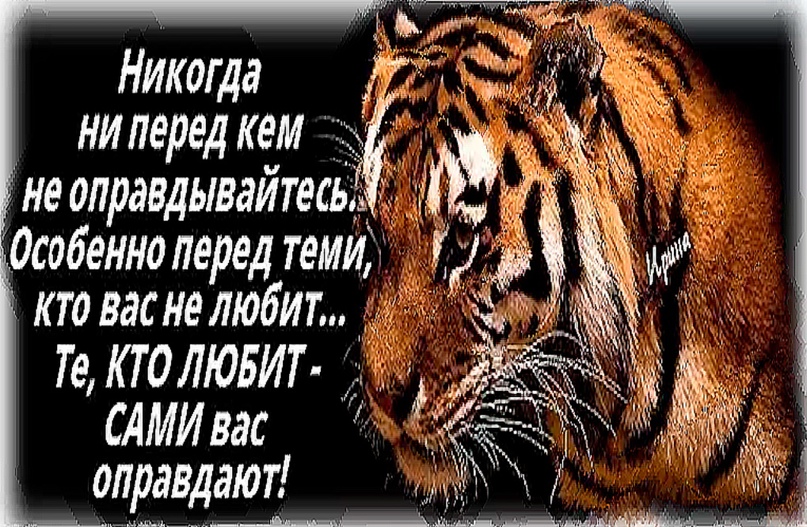 Nikogda.-