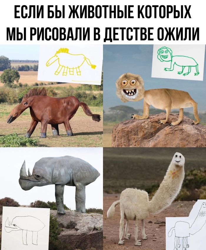 Sbornik-prikolnyh-kartinok-i-zabavnyh-kommentariev-10