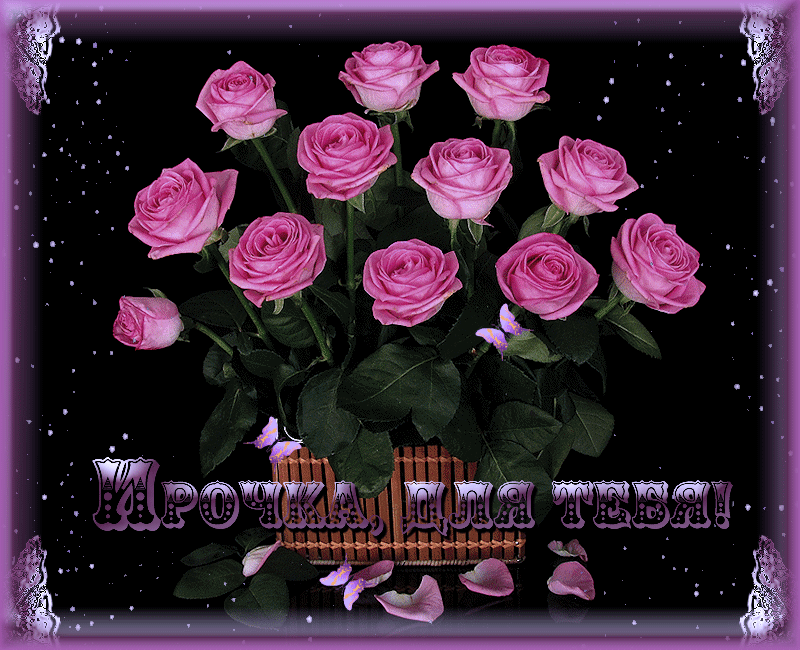 Gif animacii