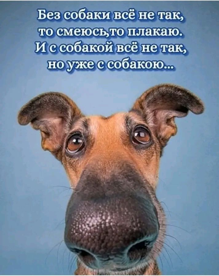 file_103373879
