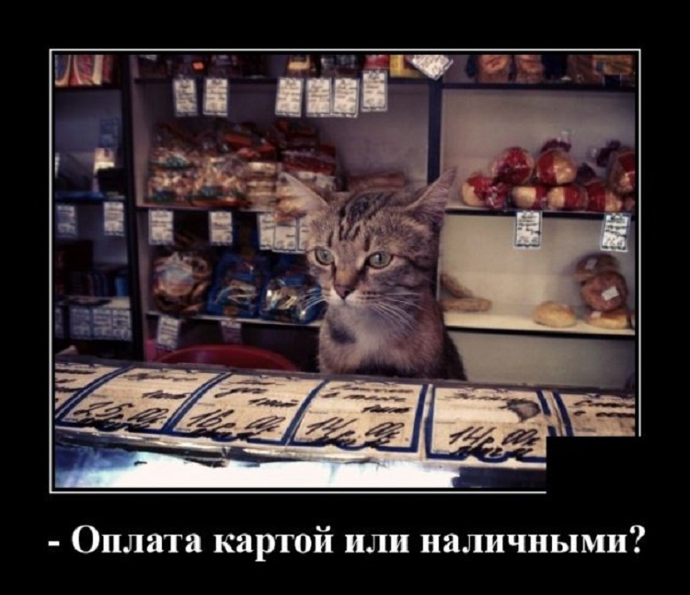 Оплата картой или наличными?