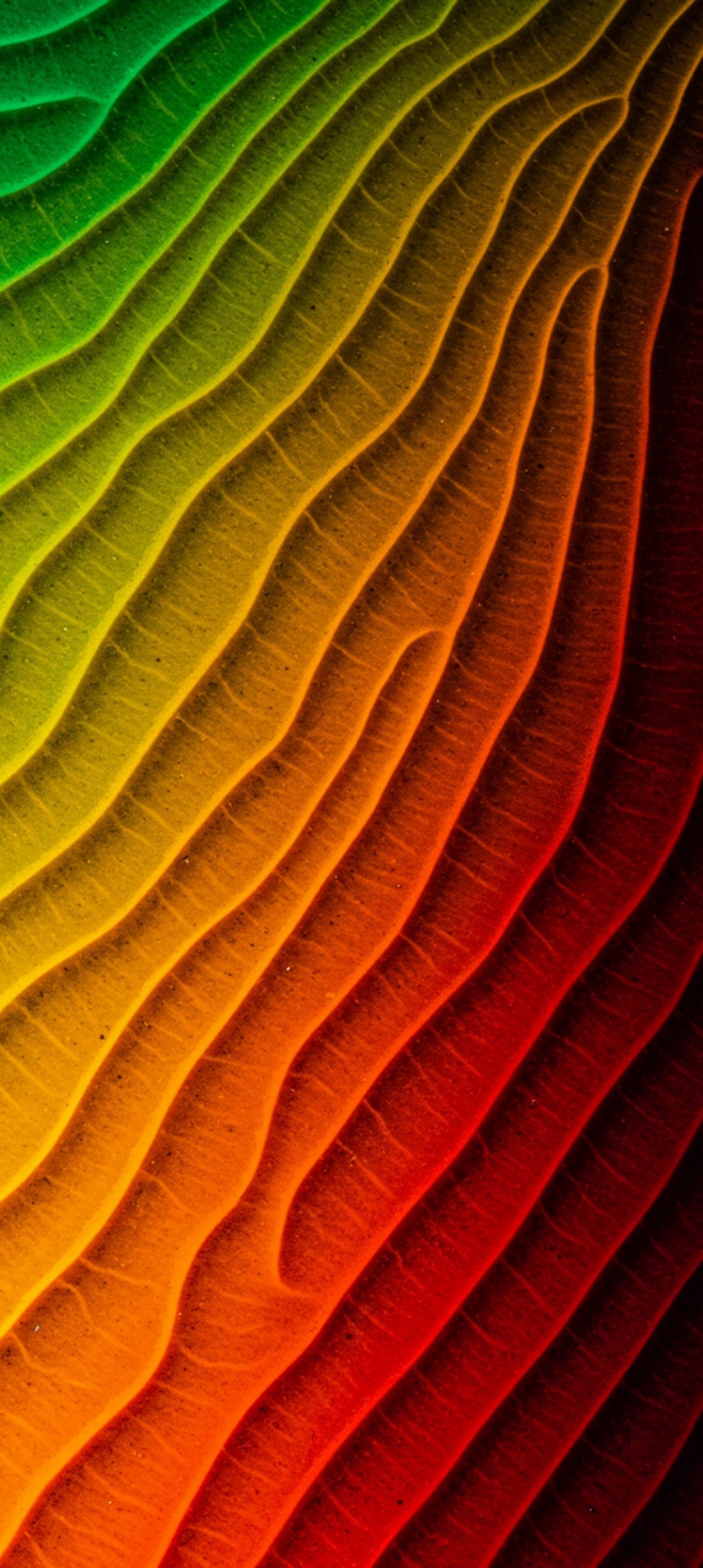 adapted 1080x2408 1774421360