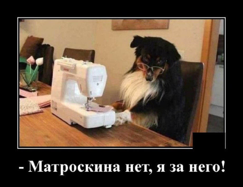 Матроскина нет, я за него...
