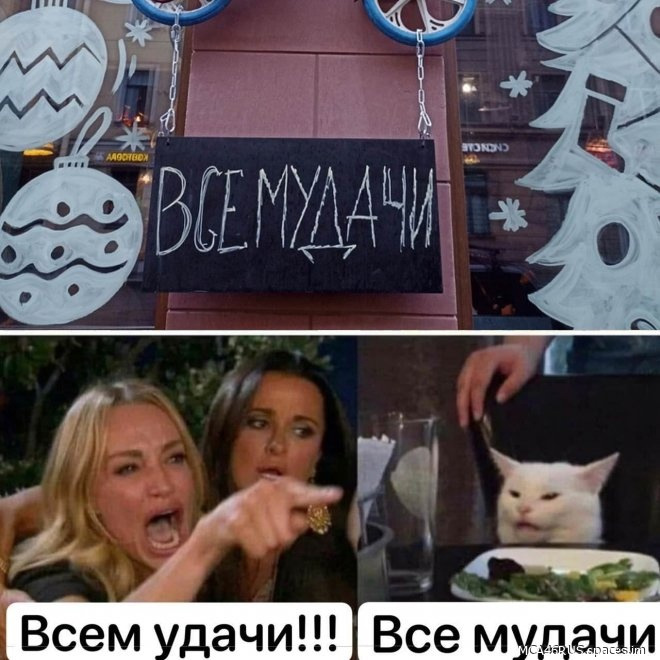 Все мудачи