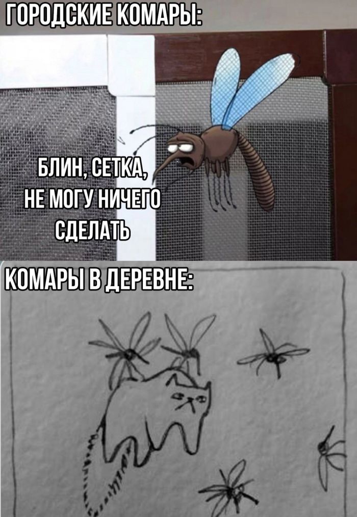 c1ceb memy-novye-svezhie-smeshnye-6