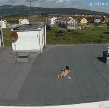 Spy-drone