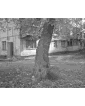 Vallspin2(kyhny)
