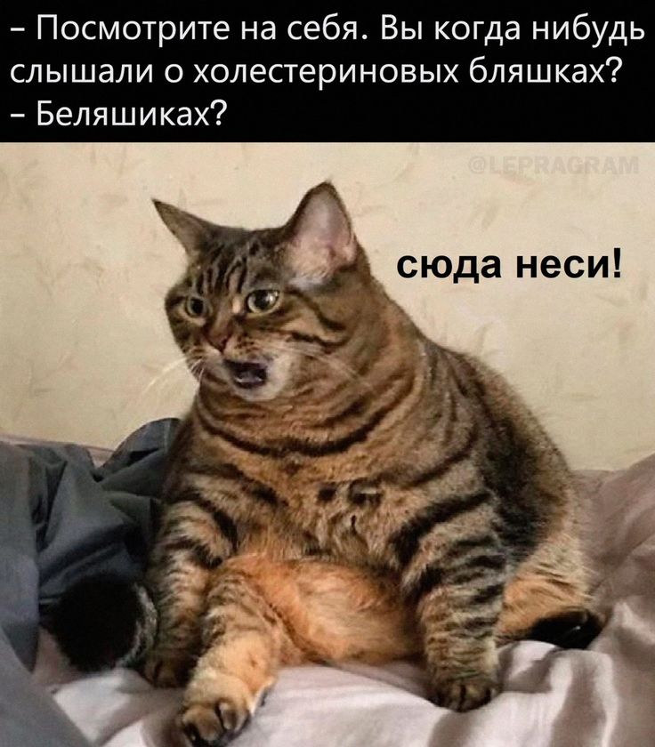 b76eb23353d5bf30923a3c186082