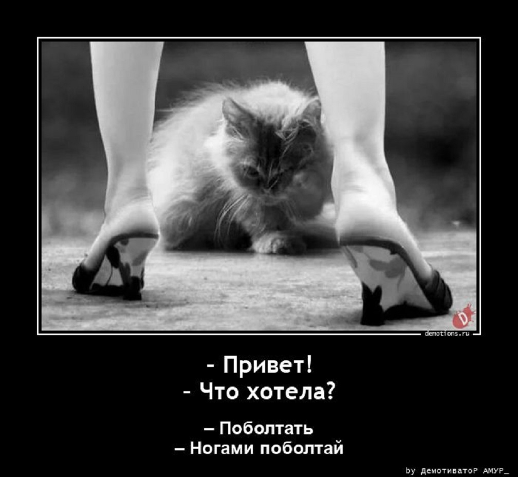 Привет...