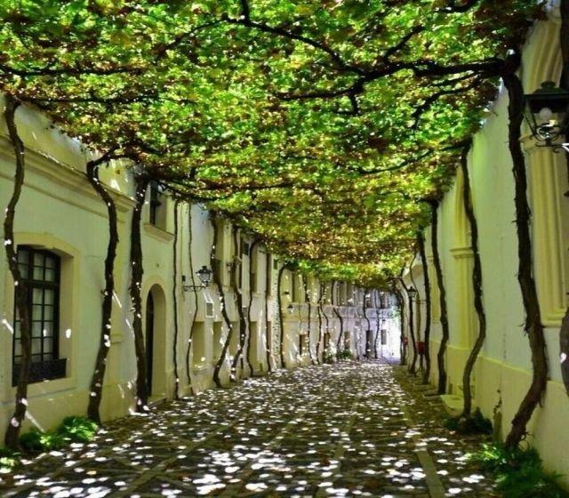 Херес-де-ла-Фронтера, Кадис