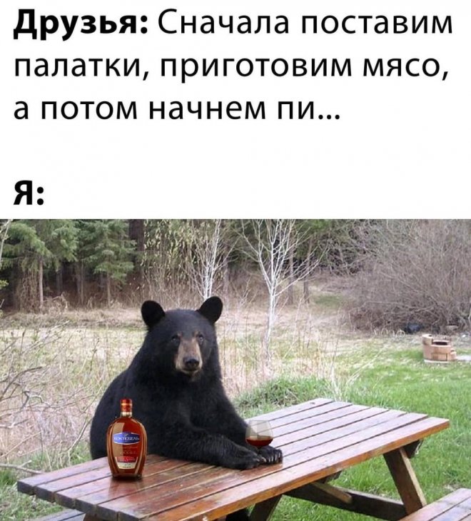 0d0cb79412 novye-memy-i-smeshnye-kartinki-s-nadpisjami-15