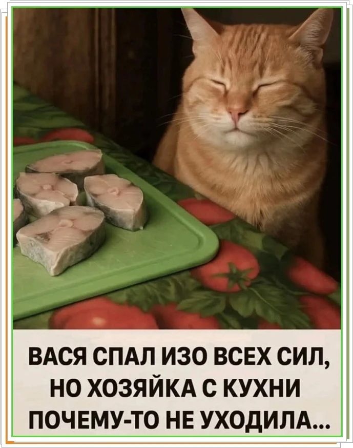 IMG 20260907 064956 644