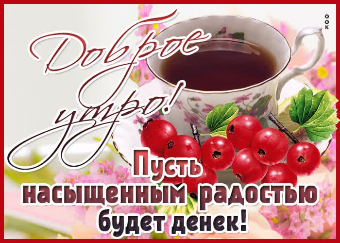 IMG-20220205-WA0001