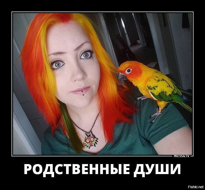дем4