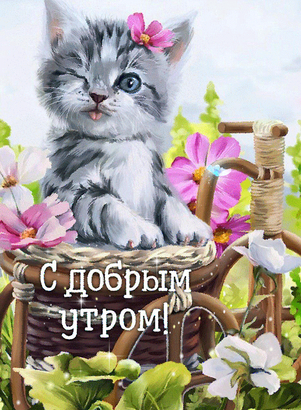 file_75068216