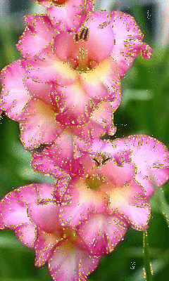 file_57406053