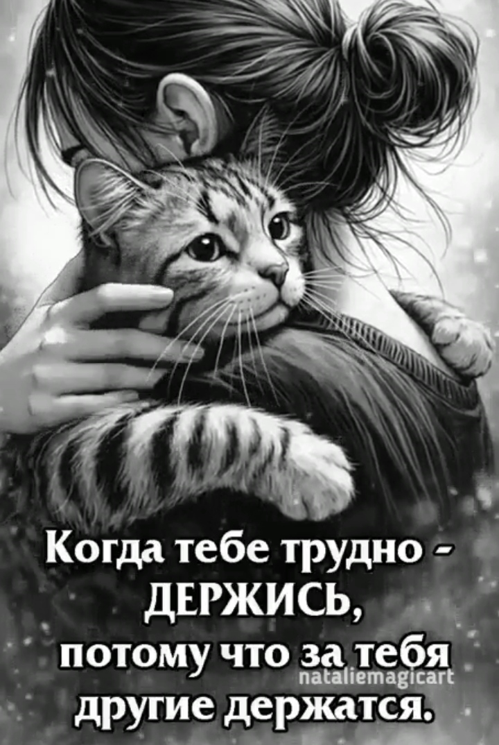 IMG 20260422 114740