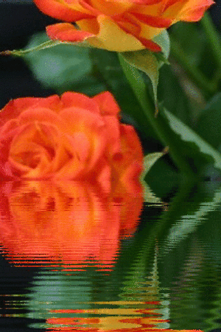 file_75009278