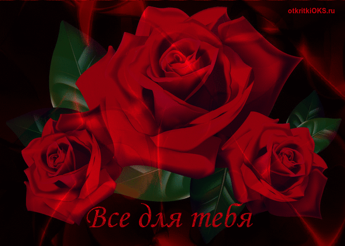 IMG 20170105 123245 8