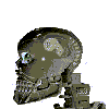 skulls 22