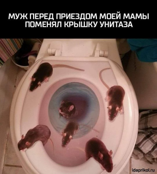 Перед приездом мамы