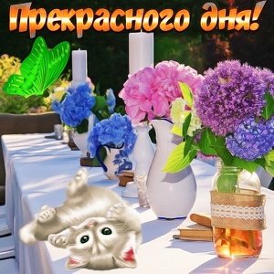 IMG 20181117 120452