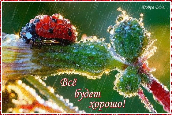 Анимированная открытка добра вам всё
