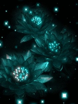 Лилии-переливашки
