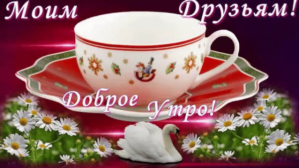 IMG 20180626 083545