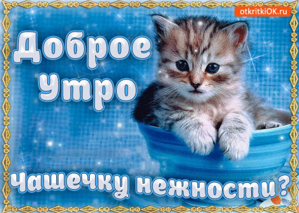 доброе утро 100980