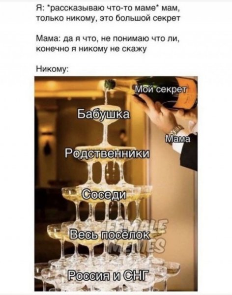 file_103400972
