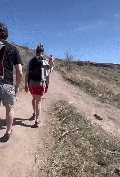 Злая шутка))