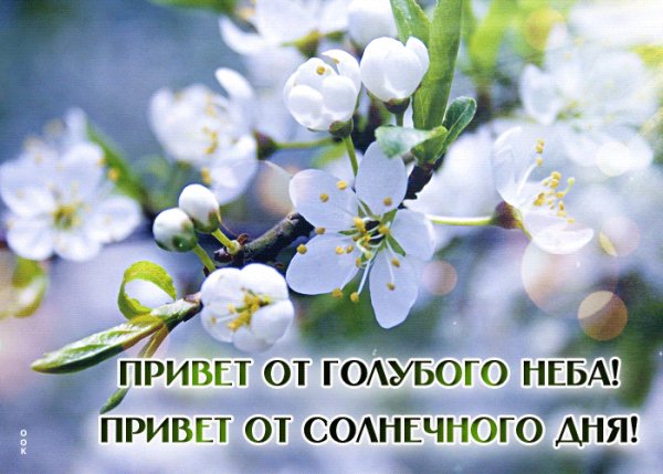 file_99658256