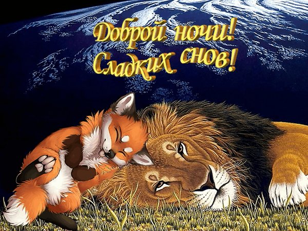 Лев Лисёнок