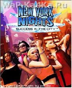 New York Nights Success In The City