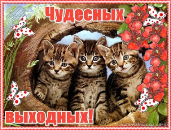 Чудесных выходных!