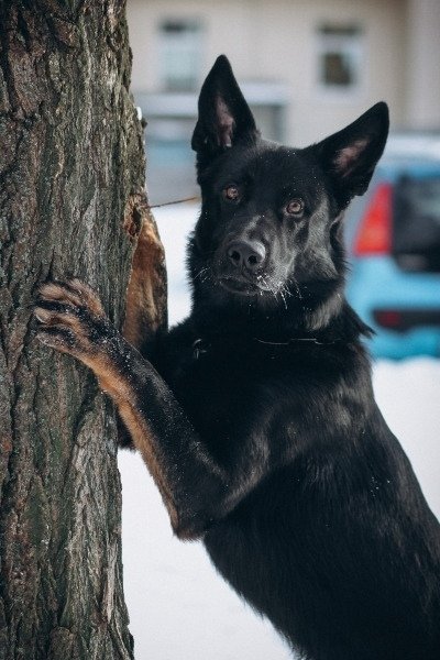 DCCVBJJFVHC1N2OOB