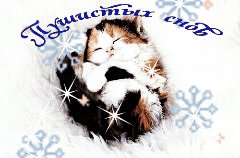 пушистых снов