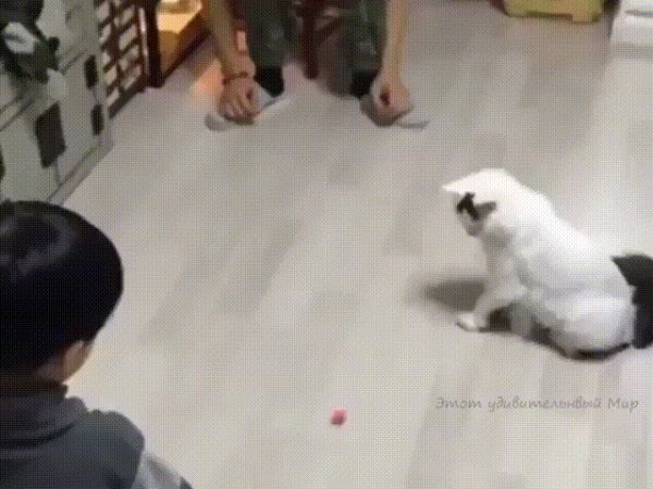 ))