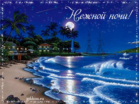 IMG 20181205 684653