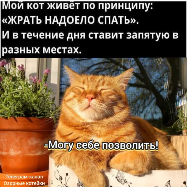 IMG 20251213 195818