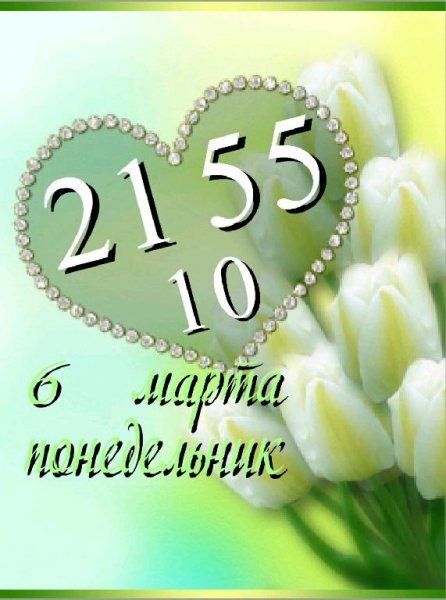 Тюльпаны