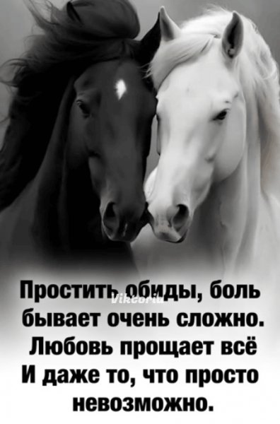 IMG 20260318 071044