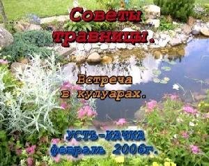Земли Тюменской травы целебные