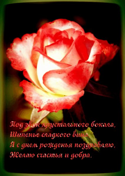 СДР Роза