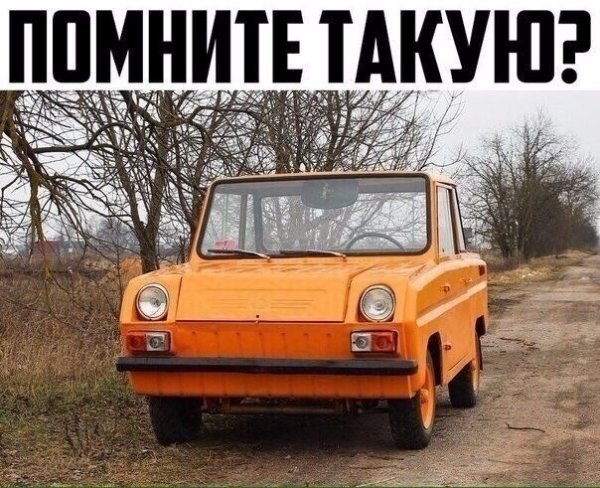 file_91293454